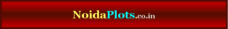 Text Box: NoidaPlots.co.in